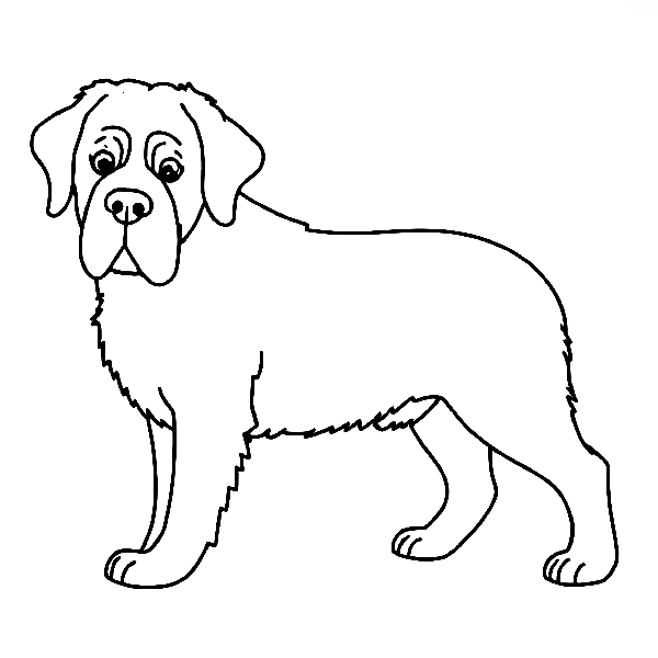 Dog coloring page