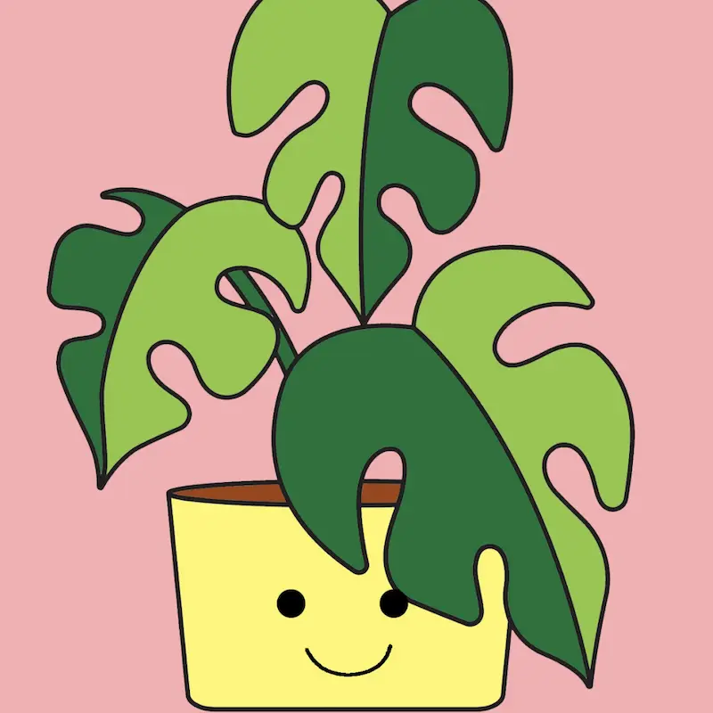 Plant coloring page