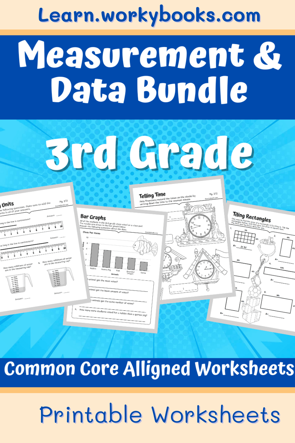 3rd Grade Measurement and Data